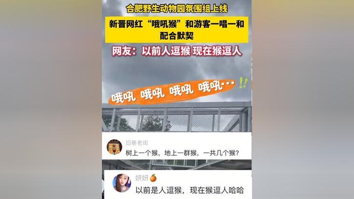 2025年5月 第177页