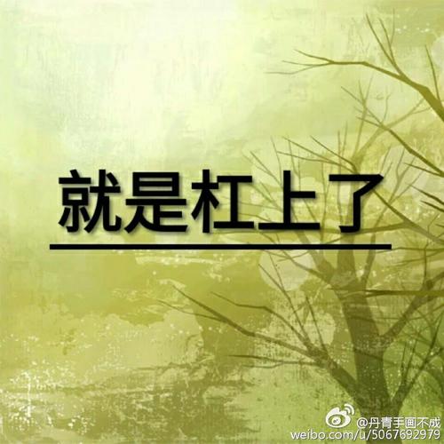 2025年天天开彩免费大全和两个女首富杠起来了与两个女首富杠起来了小说