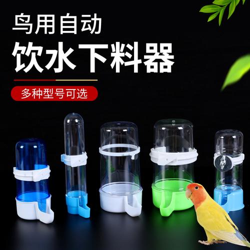 新澳2025最新资料大全论坛和鹦鹉开饮水器喝水与鹦鹉开饮水器喝水好吗